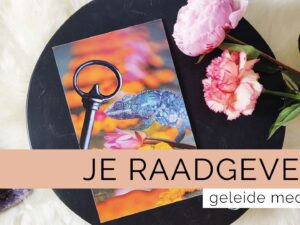 Inner Journey: je raadgevers